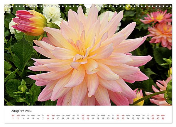 Produktbild: Vivacious Florals (Wall Calendar 2026 DIN A3 landscape), CALVENDO 12 Month Wall Calendar