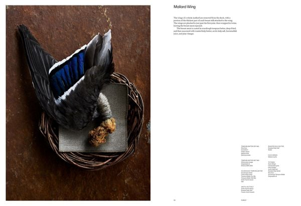 Produktbild: Noma 2.0