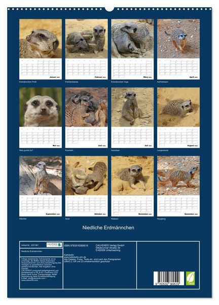 Produktbild: Niedliche Erdm&auml;nnchen (Wandkalender 2026 DIN A2 hoch), CALVENDO Monatskalender