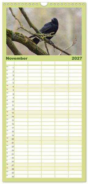 Produktbild: Familienplaner 2027 - Das Leben der Rabenv&ouml;gel mit 5 Spalten (Wandkalender, 21 x 45 cm) CALVENDO