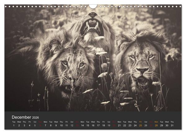 Produktbild: African Souls African animals with soul (Wall Calendar 2026 DIN A3 landscape), CALVENDO 12 Month Wall Calendar