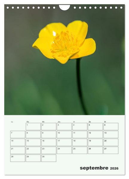 Produktbild: Fleurs en toute simplicit&eacute; - Beaut&eacute; minimaliste (Calendrier mural 2026 DIN A4 horizontal), CALVENDO calendrier mensuel
