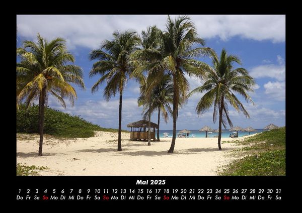 Produktbild: Palmentraum 2025 Fotokalender DIN A3