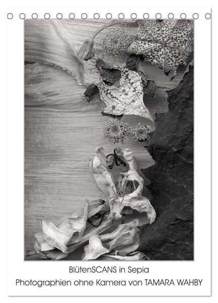 BlütenScans in Sepia, Photographien ohne Kamera von Tamara Wahby (Tischkalender 2024 DIN A5 hoch), CALVENDO Monatskalend