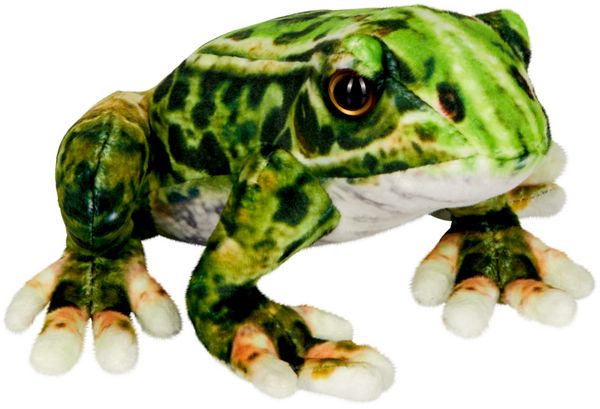 Produktbild: Frosch - Nature Zoom Wild