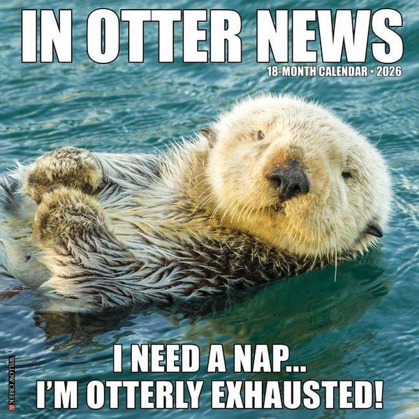 Produktbild: In Otter News 2026 Wall Calendar