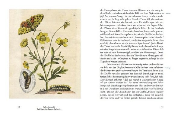 Produktbild: Maria Sibylla Merians Reise zu den Schmetterlingen
