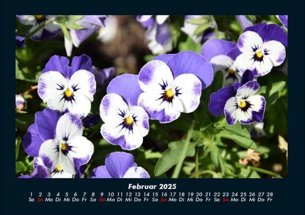 Produktbild: Pflanzen und Bl&uuml;ten 2025 Fotokalender DIN A4