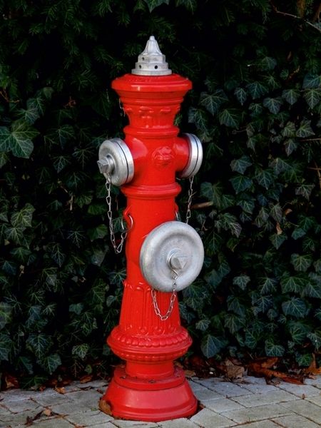 Produktbild: CALVENDO Puzzle Roter Hydrant | 1000 Teile Lege-Gr&ouml;&szlig;e 64x48cm Foto-Puzzle f&uuml;r gl&uuml;ckliche Stunden