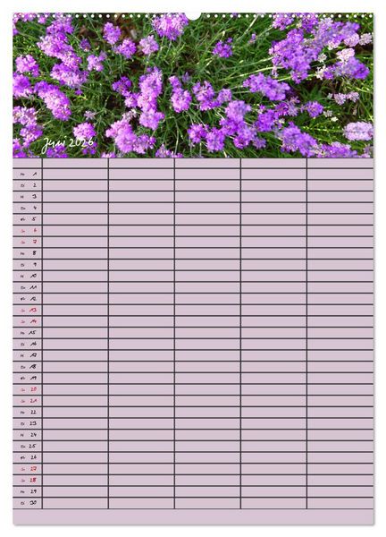 Produktbild: Naturzauber Lavendel - Familienplaner (Wandkalender 2026 DIN A2 hoch), CALVENDO Monatskalender