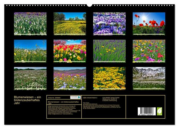 Produktbild: Blumenwiesen &ndash; ein bl&uuml;tenzauberhaftes Jahr (hochwertiger Premium Wandkalender 2026 DIN A2 quer), Kunstdruck in Hochglanz