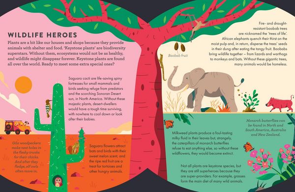 Produktbild: Superhero Plants