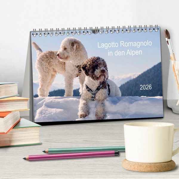 Produktbild: Lagotto Romagnolo in den Alpen 2026 (Tischkalender 2026 DIN A5 quer), CALVENDO Monatskalender