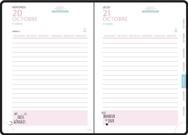 Produktbild: Sch&uuml;lerkalender Forum Fell 2 sort 2026 / 2027