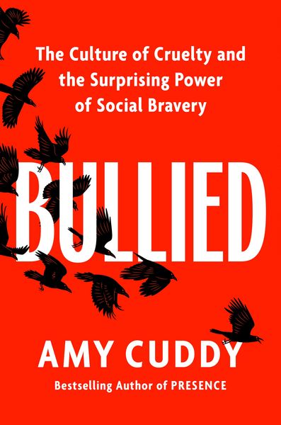 Produktbild: Bullied