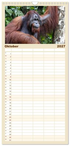 Produktbild: Familienplaner 2027 - Waldmenschen - Orang Utans auf Borneo mit 5 Spalten (Wandkalender, 21 x 45 cm) CALVENDO