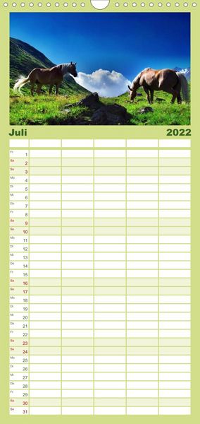 Produktbild: Familienplaner Faszination Pferde (Wandkalender 2022 , 21 cm x 45 cm, hoch)