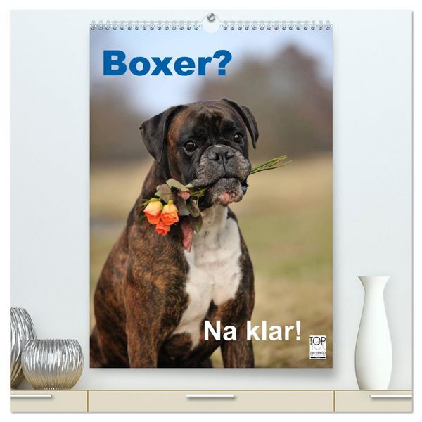 Produktbild: Boxer? Na klar! (hochwertiger Premium Wandkalender 2026 DIN A2 hoch), Kunstdruck in Hochglanz