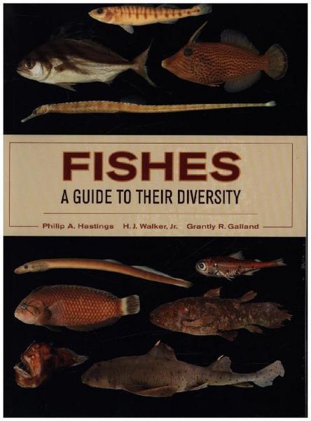 Produktbild: Fishes: A Guide to Their Diversity