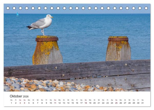Produktbild: Eastbourne an Englands S&uuml;dk&uuml;ste (Tischkalender 2026 DIN A5 quer), CALVENDO Monatskalender