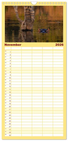 Produktbild: Familienplaner 2026 - S&uuml;dafrika - Big 5 und mehr mit 5 Spalten (Wandkalender, 21 x 45 cm) CALVENDO