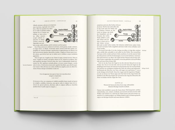 Produktbild: Das Buch &uuml;ber den Weisen
