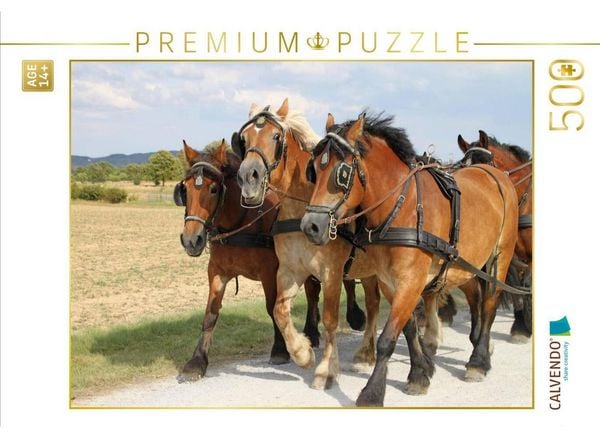 CALVENDO Puzzle Kaltblutgespann | 500 Teile Lege-Größe 48 × 36 cm Foto-Puzzle für Erwachsene