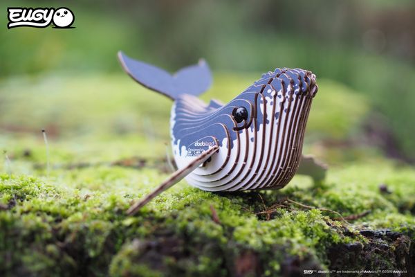 Produktbild: EUGY - 3D Bastelset Buckelwal