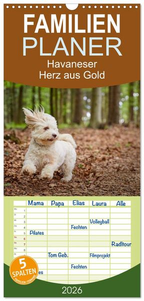 Familienplaner 2026 - Havaneser - Herz aus Gold mit 5 Spalten (Wandkalender, 21 x 45 cm) CALVENDO