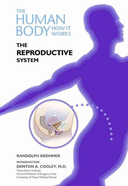 Produktbild: Krohmer, R: The Reproductive System