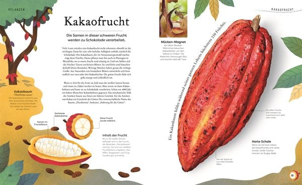 Große und kleine Schätze der Natur. Große und kleine Schätze der Natur