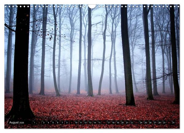 Produktbild: Zauberhafter Sachsenwald (Wandkalender 2026 DIN A3 quer), CALVENDO Monatskalender