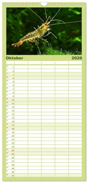 Produktbild: Familienplaner 2026 - Dwarf Shrimps mit 5 Spalten (Wandkalender, 21 x 45 cm) CALVENDO