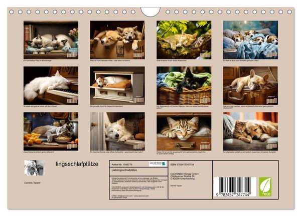 Produktbild: Lieblingsschlafpl&auml;tze (Wandkalender 2026 DIN A4 quer), CALVENDO Monatskalender
