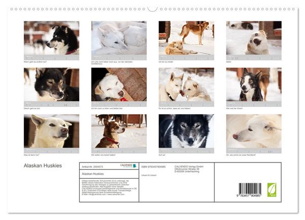 Produktbild: Alaskan Huskies (hochwertiger Premium Wandkalender 2026 DIN A2 quer), Kunstdruck in Hochglanz