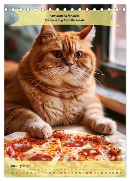 Produktbild: A year of greatfullness with funny animals (Desk Calendar 2026 DIN A5 portrait), CALVENDO 12 Month DeskCalendar