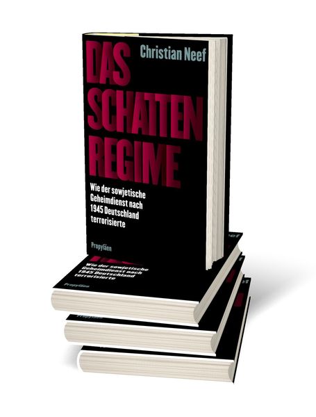 Das Schattenregime