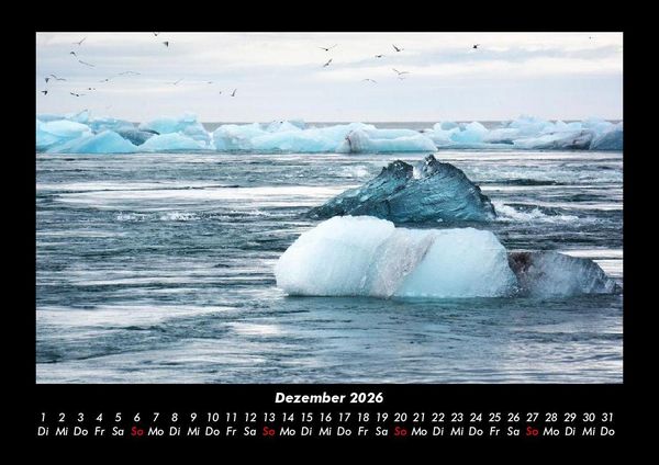 Produktbild: V&ouml;gel 2026 Fotokalender DIN A3