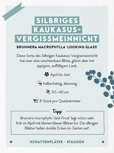 Produktbild: Kartenset: Keine Zeit zu g&auml;rtnern &ndash; 64 Karten &ndash; Einfach und schnell zum Blumengarten