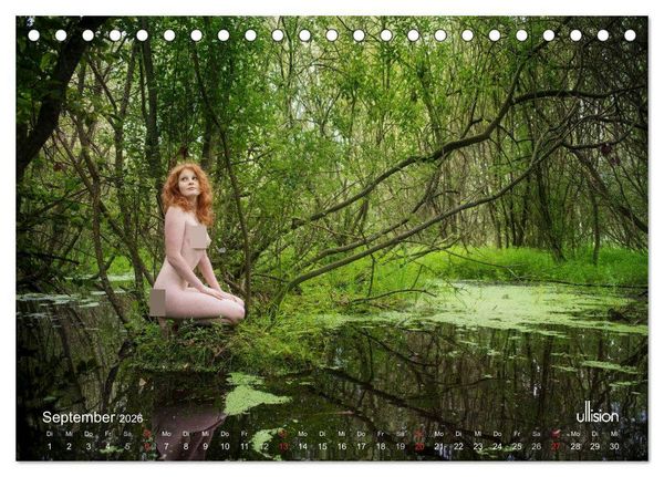 Produktbild: ZAUBERWALD Mystik der Natur (Tischkalender 2026 DIN A5 quer), CALVENDO Monatskalender