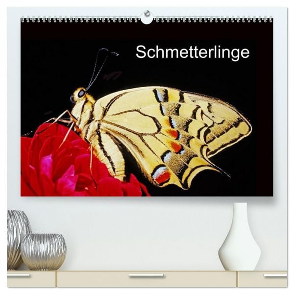 Produktbild: Schmetterlinge (hochwertiger Premium Wandkalender 2026 DIN A2 quer), Kunstdruck in Hochglanz