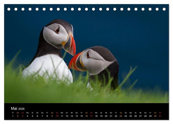 Produktbild: Welt der Papageitaucher (Tischkalender 2026 DIN A5 quer), CALVENDO Monatskalender