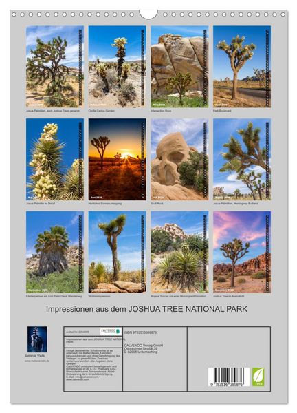 Produktbild: Impressionen aus dem JOSHUA TREE NATIONAL PARK (Wandkalender 2026 DIN A3 hoch), CALVENDO Monatskalender