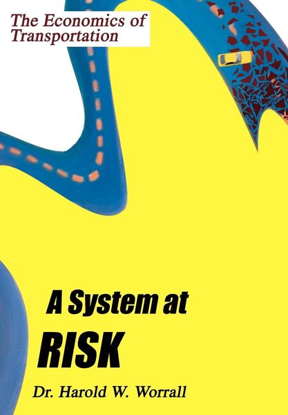 Produktbild: A System at Risk