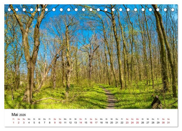 Produktbild: W&auml;lder: die letzte Zuflucht f&uuml;r die Wildnis (Tischkalender 2026 DIN A5 quer), CALVENDO Monatskalender