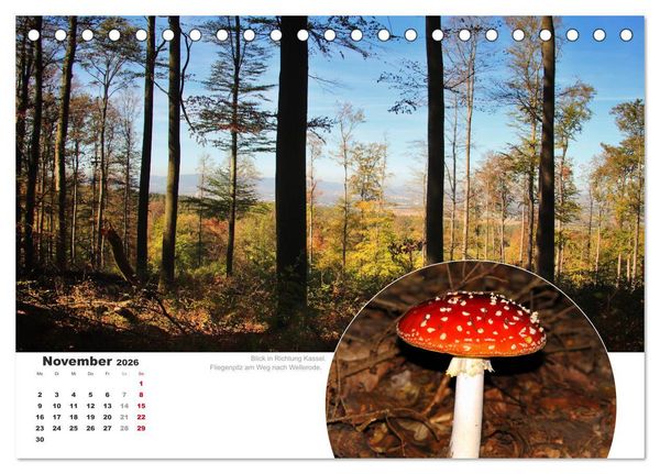 Produktbild: Der Grimmsteig (Tischkalender 2026 DIN A5 quer), CALVENDO Monatskalender