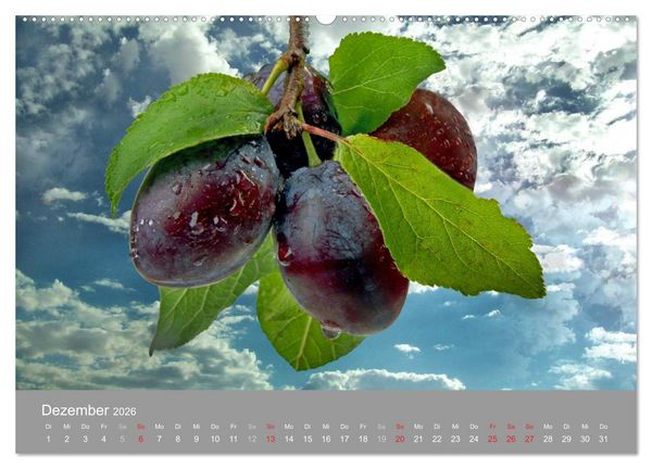 Produktbild: Obst (Wandkalender 2026 DIN A2 quer), CALVENDO Monatskalender