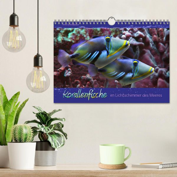 Produktbild: Korallenfische im Lichtschimmer des Meeres (Wandkalender 2026 DIN A4 quer), CALVENDO Monatskalender