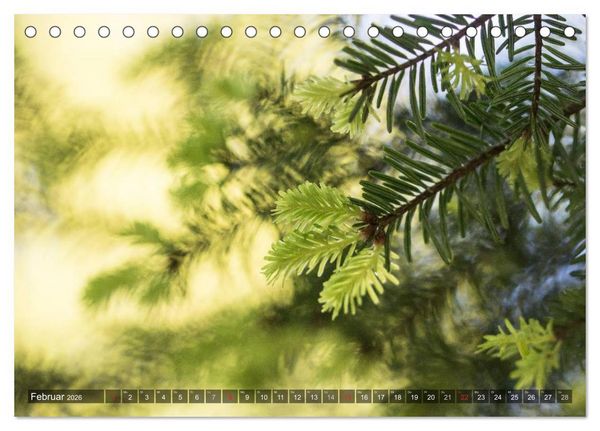 Produktbild: Feng Shui Farben - Element: Holz (Tischkalender 2026 DIN A5 quer), CALVENDO Monatskalender