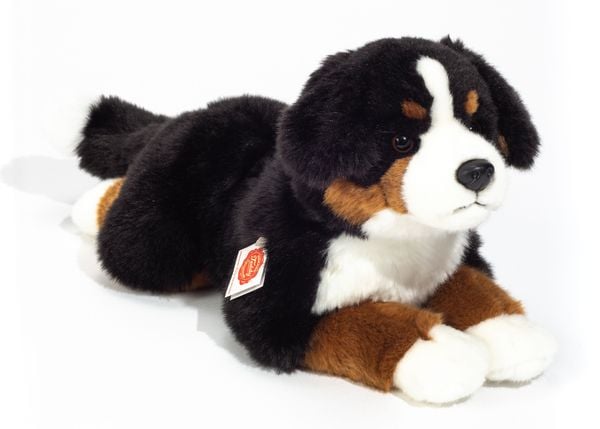 Berner Sennehund liegend 40 cm